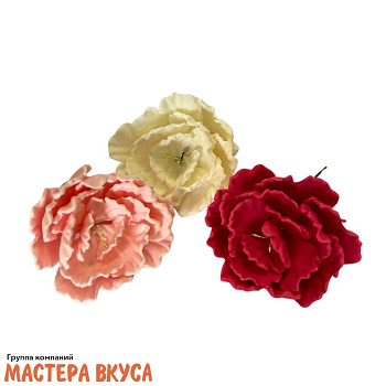 Сахарное украшение ПИОН микс, d ~7см 