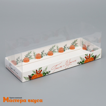 Упаковка для рулета с прозр. крышкой 262*97*80 мм , НГ (Тепла и уюта), 