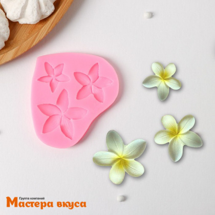 Молд силиконовый ЦВЕТОК ПЛЮМЕРИЯ, 9*8*0,8 см
