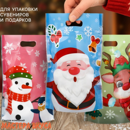 Пакет полиэтиленовый с вырубными ручками 150*230 мм, с ЗИП-замком, "Друзья дедушки Мороза"