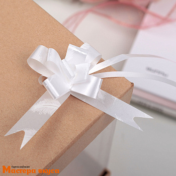 Бант-бабочка БЕЛЫЙ Перья, (ш 1,2 см) d~6 см