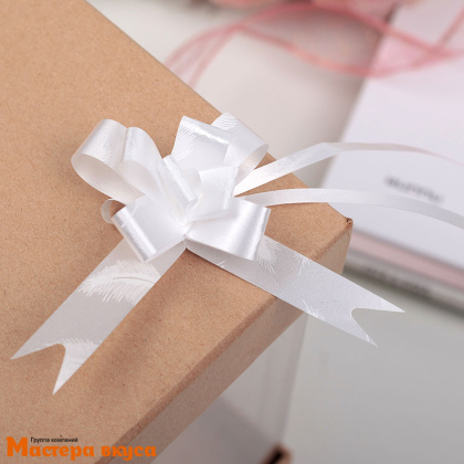 Бант-бабочка БЕЛЫЙ Перья, (ш 1,2 см) d~6 см