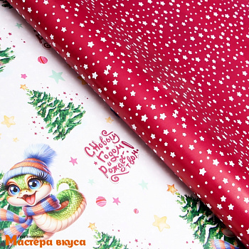 Бумага упаковочная   "Змейка. С Новым Годом и Рождеством" двухсторонняя (глянцевая), 70*100 см