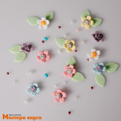 Сахарная фигурка (набор) ЦВЕТЫ НЕЗАБУДКИ с листочками, мини №1, d~2см, набор 10-11 шт