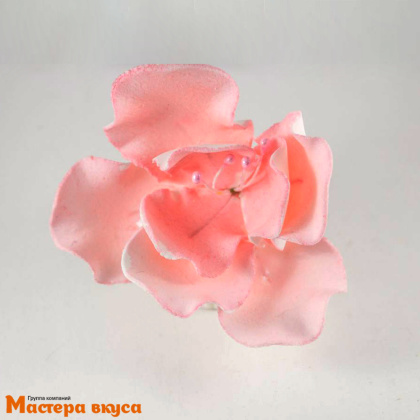 Сахарное украшение ШИПОВНИК РОЗОВЫЙ, d~8см 