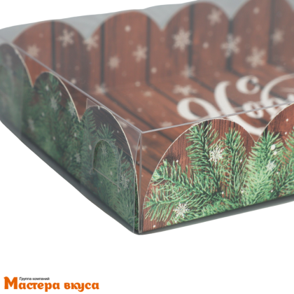 Упаковка для пряников и печенья с прозр. крышкой 210*105*30 мм  (С Новым Годом)