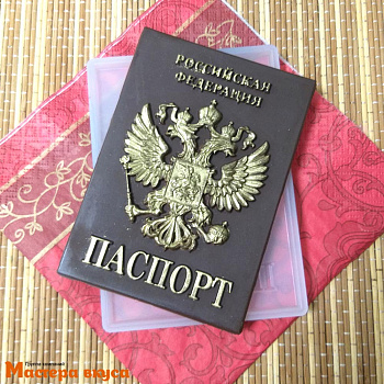 Молд силиконовый ПАСПОРТ, 12,5*8,8 см