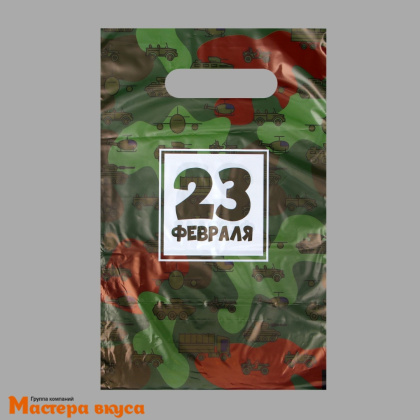 Пакет полиэтиленовый с вырубными ручками 200*300 мм, "23 февраля"