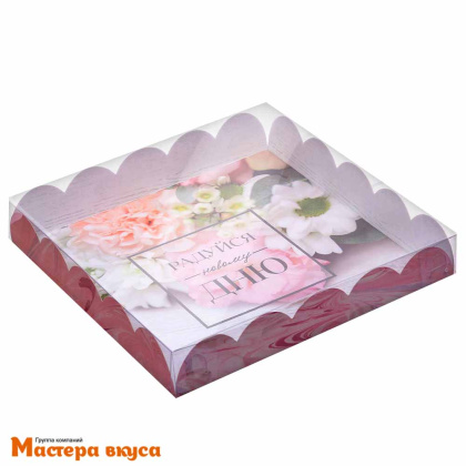 Упаковка для пряников и печенья с прозр. крышкой 180*180*30 см (Радуйся новому дню)