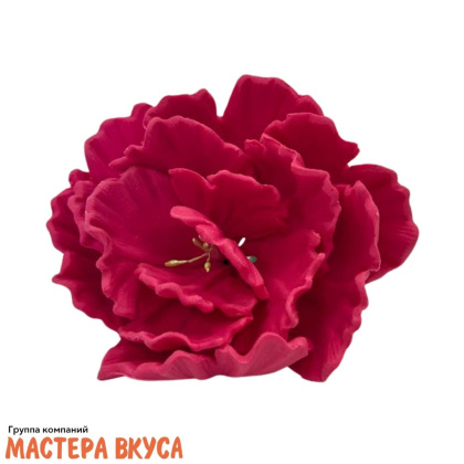 Сахарное украшение ПИОН микс, d ~7см 