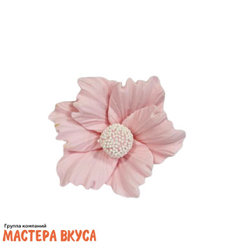 Сахарное украшение КОСМЕЯ РОЗОВАЯ, d ~8,5см