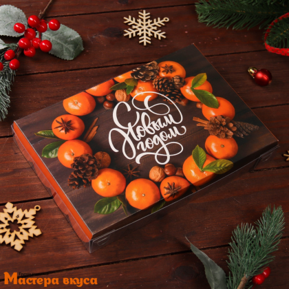 Упаковка для пряников и печенья с прозр. крышкой 220*150*30 мм  (Мандарины)