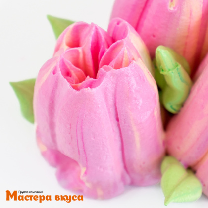 Насадка-диск ТЮЛЬПАН № 2, D 4,5 см 